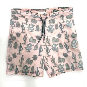 RetroFit Pink Cactus trunks